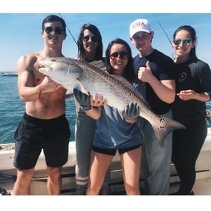 Meet your Posher, Ginny